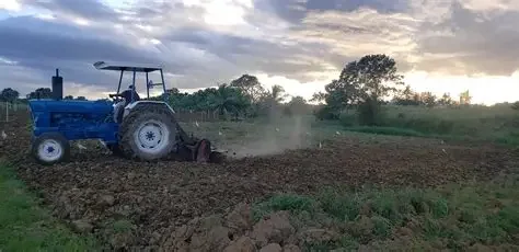 Producción Agrícola en el Valle de Atlixco